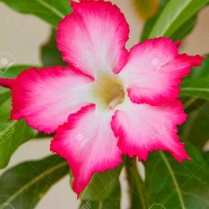 Meet your Posher, Marina